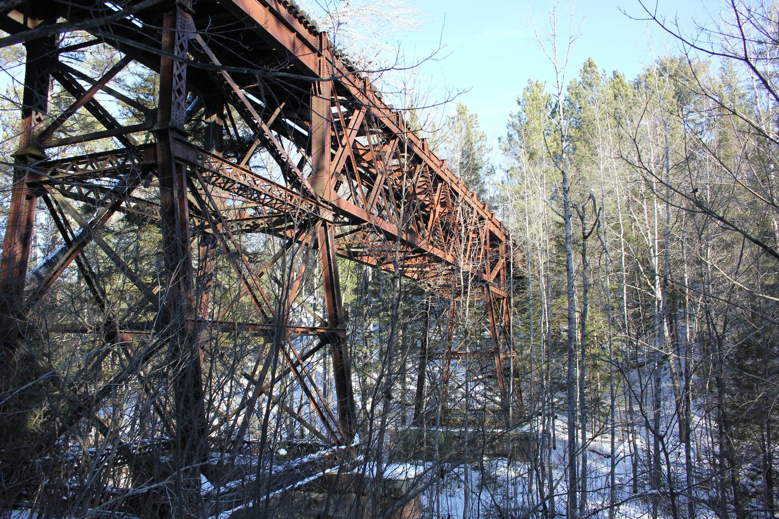 Looking north